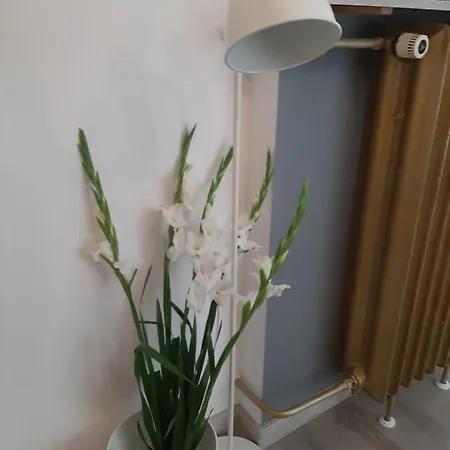 Hollywood Kosciuszki Apartment