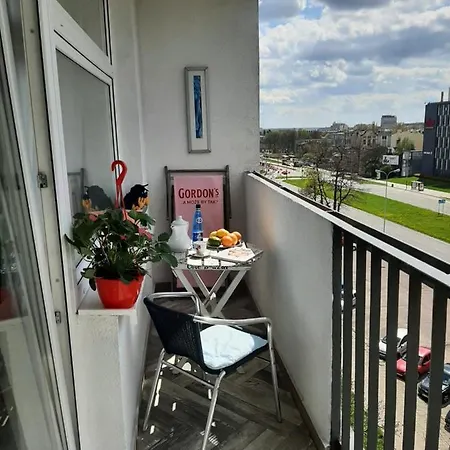 Hollywood Kosciuszki