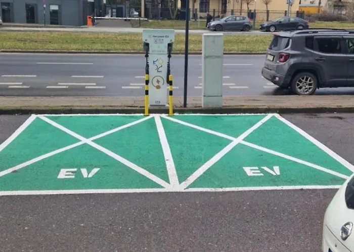 Hollywood Kosciuszki *